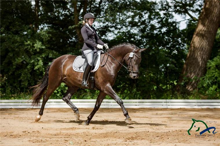 Beim Reitturnier in Blexen werden die Kreismeister gekürt beim 42. Nordenhamer Reitturniers auf dem Gelände „An der Papenkuhle“ die Einzel-Kreismeister des Kreisreiterverbandes Wesermarsch gekürt.