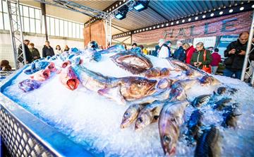  Wie auch in den Jahren zuvor erfreut sich das Fischbett mit einer Vielzahl von ausgestelltem Meeresgetier regen Besucherandrang. Foto: Hartmann