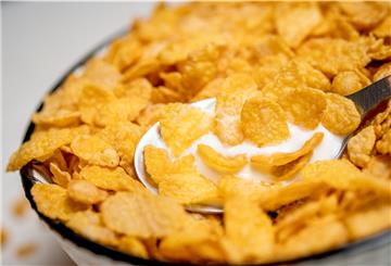 15 der 50 getesteten Cornflakes erhielten von „Öko-Test“ die Note „sehr gut“.