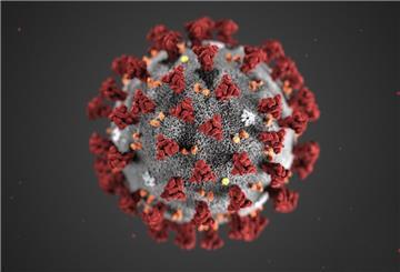 242 Menschen haben sich neu mit dem Coronavirus infiziert.