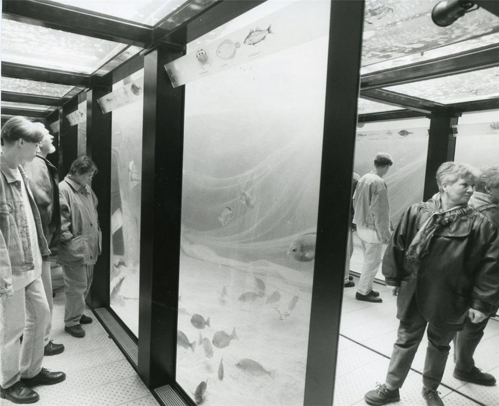 25 Jahre Schaufenster Fischereihafen. Foto  NZ-Archiv