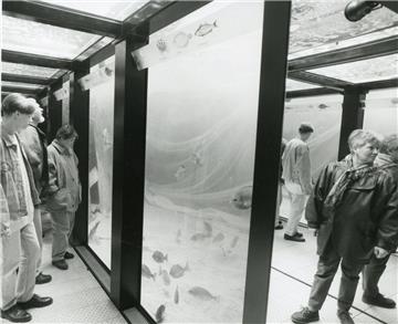 25 Jahre Schaufenster Fischereihafen. Foto  NZ-Archiv