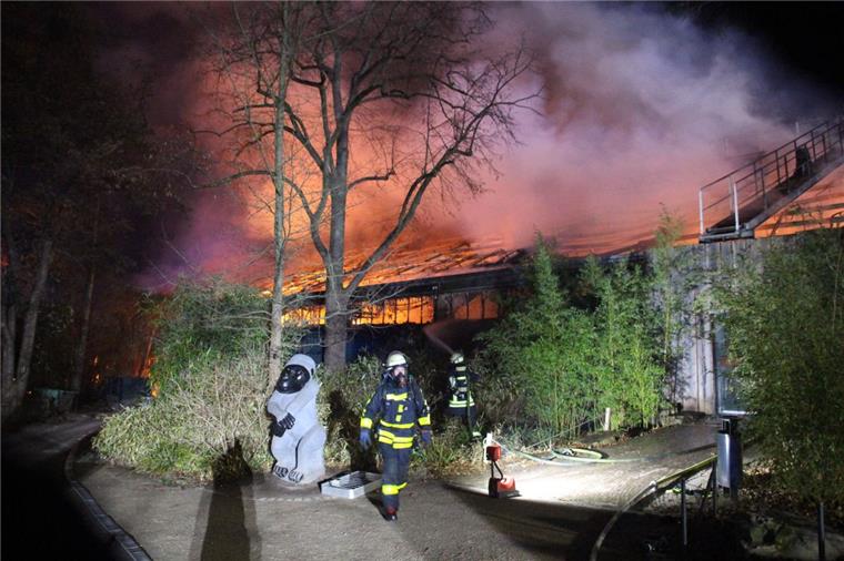 Brand im Krefelder Zoo: Mehr als 30 Tiere tot 30 Tiere sind bei dem Brand im Affenhaus im Krefelder Zoo ums Leben gekommen.