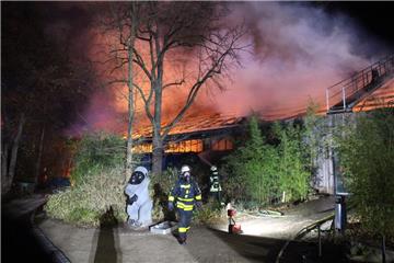 30 Tiere sind bei dem Brand im Affenhaus im Krefelder Zoo ums Leben gekommen. 