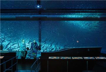 360-Grad-Kino-Ausstellung im Fischbahnhof Bremerhaven.