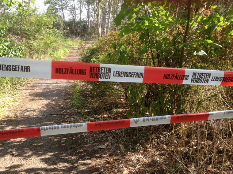 Bremerhaven: 400 Bäume müssen gefällt werden 400 Bäume müssen im ehemaligen Wasserwerkswald in Bremerhaven gefällt werden. Spaziergänger dürfen darum nicht in den Wald.