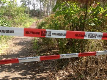 400 Bäume müssen im ehemaligen Wasserwerkswald in Bremerhaven gefällt werden. Spaziergänger dürfen darum nicht in den Wald.