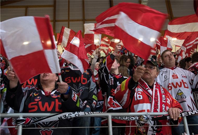 500 Fans dürfen zum öffentlichen Training der Fischtown Pinguins.