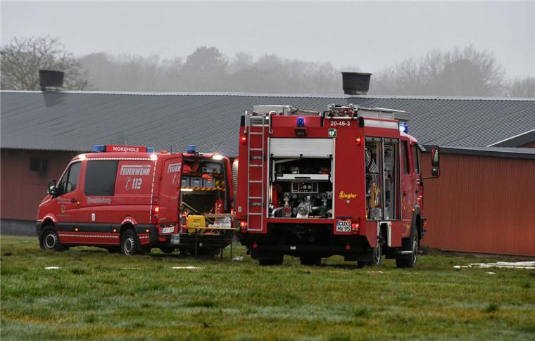 Nach Großbrand in Nordholz: Letztes Huhn gestorben 80 Einsatzkräfte der Freiwilligen Feuerwehr kämpften vergangene Woche gegen die Flammen in einem Mastbetrieb in Nordholz.