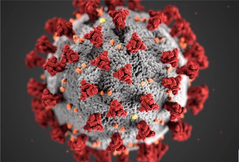 93 Bürgerinnen und Bürger des Wesermarsch hat das Gesundheitsamt unter Quarantäne gestellt-