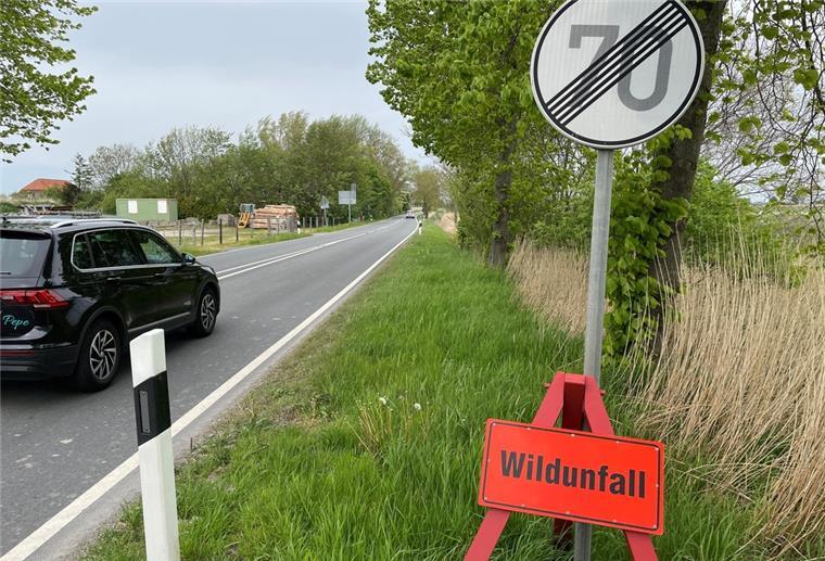 Ärger um Tempo 100 in Iffens Ab der Einmündung in die Ulmenstraße galt auf der Landesstraße bei Iffens bislang Tempo 70. Jetzt ist das Limit aufgehoben.