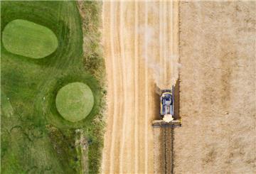 PRODUKTION - «Wasser wird immer knapper, wir haben keinen gesunden Boden mehr»: Landwirt Benedikt Bösel. Foto: Patrick Pleul/dpa