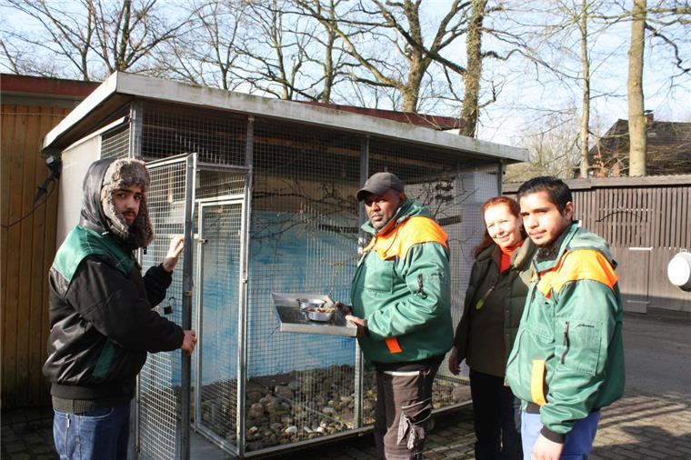 Über die Papageien zum Job Abdalrahman, Khalif, Margrit Reinhardt und Abdulrahman (von links) bringen den Vögeln in der Papageienstation das tägliche Frühstück. Foto Gehrke