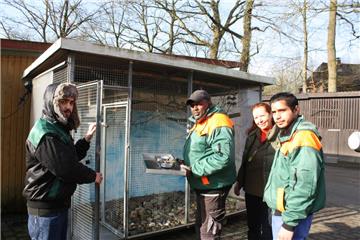 Abdalrahman, Khalif, Margrit Reinhardt und Abdulrahman (von links) bringen den Vögeln in der Papageienstation das tägliche Frühstück.  Foto Gehrke