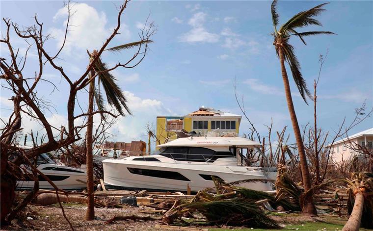 Hurrikan "Dorian": Mindestens 30 Tote auf den Bahamas Abgeknickte Bäume und Palmen stehen an einem zerstörten Hafen in Marsh Habour auf den Bahamas.