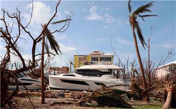 Abgeknickte Bäume und Palmen stehen an einem zerstörten Hafen in Marsh Habour auf den Bahamas.

