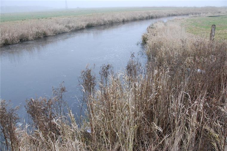 Abgetrennt vom Hauptfluss, droht die  alte Geeste zwischen Spaden  und Schiffdorf zu verlanden. Der Angelsportverein Spaden wollte sie naturnah ausbauen. Doch das Projekt scheiterte.  