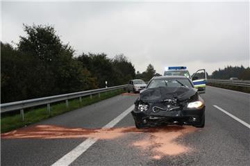 Acht beschädigte Fahrzeuge, vier leicht verletzte Personen, ein davon gelaufener Hund und ein verschrecktes Pferd - das ist die Bilanz von zwei Unfällen auf der A27 am Donnerstag.