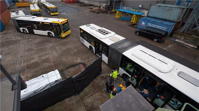 Acht Busse pendelten auf der Kaje.