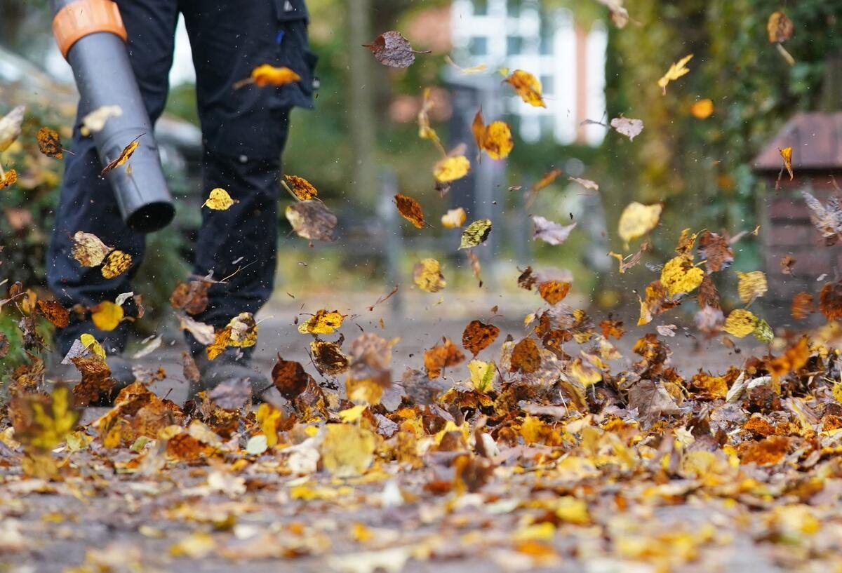 Herbstlaub entsorgen: Was erlaubt ist und wie du ein saftiges Bußgeld vermeidest Mit dem Laubbläser geht es herabgefallenen Blättern an den Kragen.