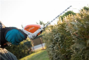 Ein Mann hat eine Heckenschere in der Hand und schneidet eine Hecke. Ab dem 1. März ist das allerdings verboten.
