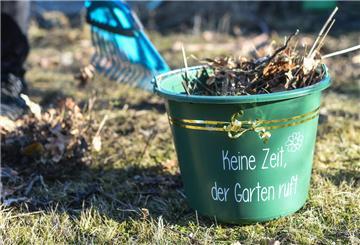 In einem Garten wird Laub geharkt und ein Eimer damit befüllt. 