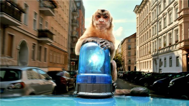 „Akiko - Der fliegende Affe“ - Zauberhafter Kinder-Kinospaß Akiko auf dem Blaulicht - eine Szene des Films „Akiko - Der fliegende Affe“.