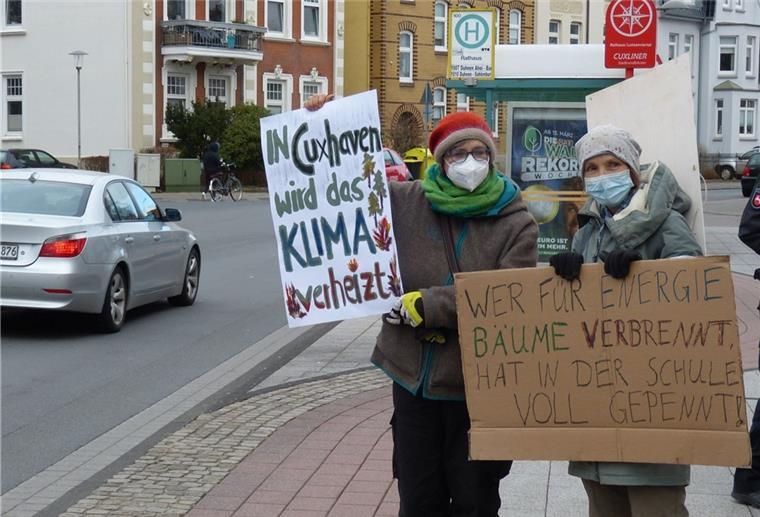 Holzheizkraftwerk: Aktionsbündnis kritisiert die Betreiber Aktivisten demonstrierten schon im März gegen das Holzheizkraftwerk in Cuxhaven.
