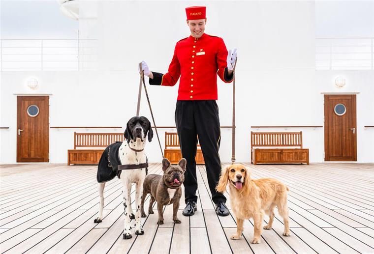 Kreuzfahrt mit Hund: Tipps und wichtige Infos Platz zum Spielen und eine eigene Lounge für die Tierhalter: Hunde können an Bord der «Queen Mary 2» mitreisen.