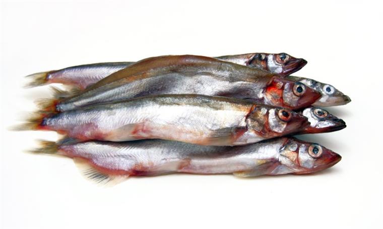 5 Gründe, warum wir Fisch so lieben Alle lieben Fisch.