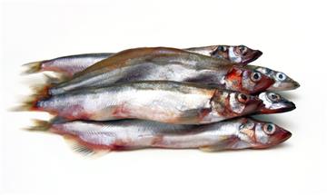 Alle lieben Fisch.