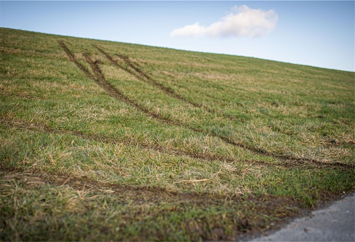 Bremerhaven: Ärger über Vandalismus auf Luneplate Allein den Deichverteidigungsweg mit dem Auto zu benutzen, ist schon verboten, erst recht darf hier natürlich niemand auf dem Deich fahren.