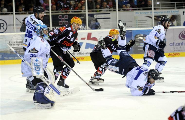 Fischtown Pinguins