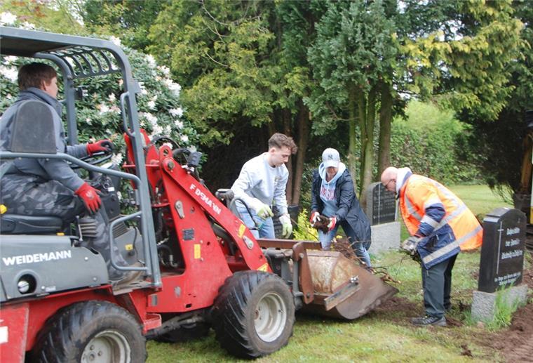 Neuenwalde: Alter Friedhof ist nicht vergessen Alte Wurzeln müssen raus, es wird fleißig gearbeitet.