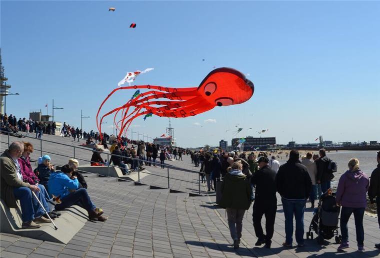 Drachenfestival und Bürgerbummel locken nach Bremerhaven Ein Drachen am Deich in Bremerhaven.