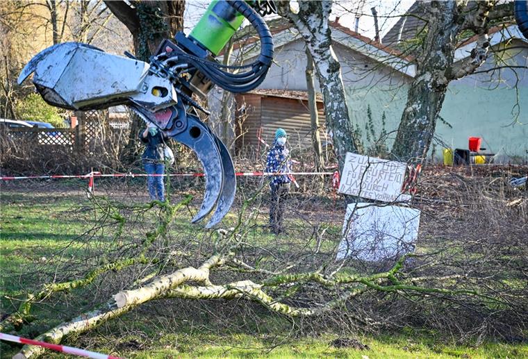 Mahnwache für alte Bäume am Leher Jägerhof Am Freitag sind zwischen Gauß- und Wurster Straße drei Bäume gefällt worden.