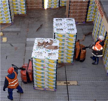 Am Fruchtterminal in Bremerhaven gibt es seit Jahresbeginn keine Chiquita-Bananen (Archivfoto) mehr.