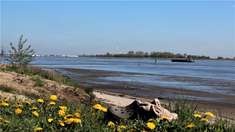 Protest hat Erfolg: Stadland richtet Hundestrand ein Am Kleinensieler Strand wird es bald einen abgezäunten Bereich für Hunde und ihre Halter geben.