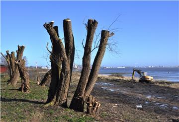 Am Nordenhamer Strand rodet die Wasser- und Schifffahrtsverwaltung derzeit kräftig.
