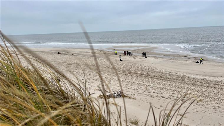 Am Rantumer Strand auf Sylt hat die Polizei einen Hund erschossen, nachdem dieser seinen Besitzer schwer verletzt hat. (Symbolfoto)