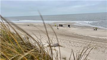 Am Rantumer Strand auf Sylt hat die Polizei einen Hund erschossen, nachdem dieser seinen Besitzer schwer verletzt hat. (Symbolfoto)
