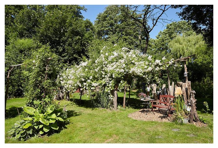Am Sonntag, 18. Juli, in der Zeit von 11 bis 18 Uhr öffnen Edda Barth-Golz und Rainer Golz ihren Garten Papenhus in Fintel.