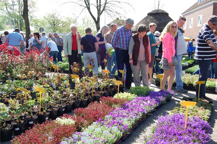 Staudenmarkt am Sonntag in Hagen Am Sonntag geht es wieder zum Staudenmarkt nach Hagen.
