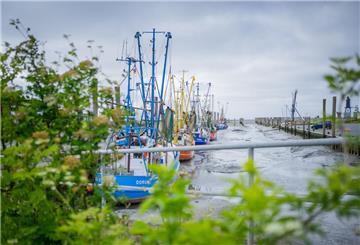 Symbolbild vom Kutterhafen in Dorum-Neufeld