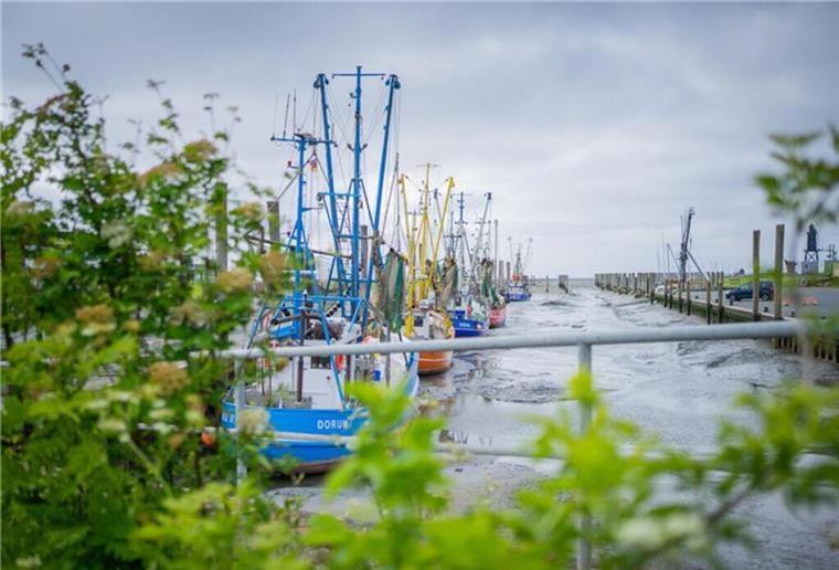 Kutterhafen in Dorum-Neufeld verwandelt sich in Paradies für Schnäppchenjäger Symbolbild vom Kutterhafen in Dorum-Neufeld. Foto: Hartmann