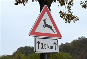 schild