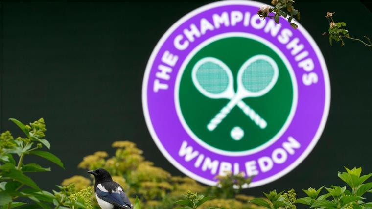 Sieben deutsche Wimbledon-Matches am Montag Am Tennis-Turnier in Wimbledon nehmen zwölf deutsche Athleten und Athletinnen teil.