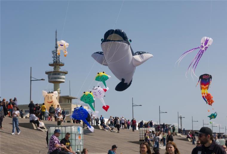 Riesige Drachen über dem Weserdeich in Bremerhaven Meterhohe Drachen über dem Deich
