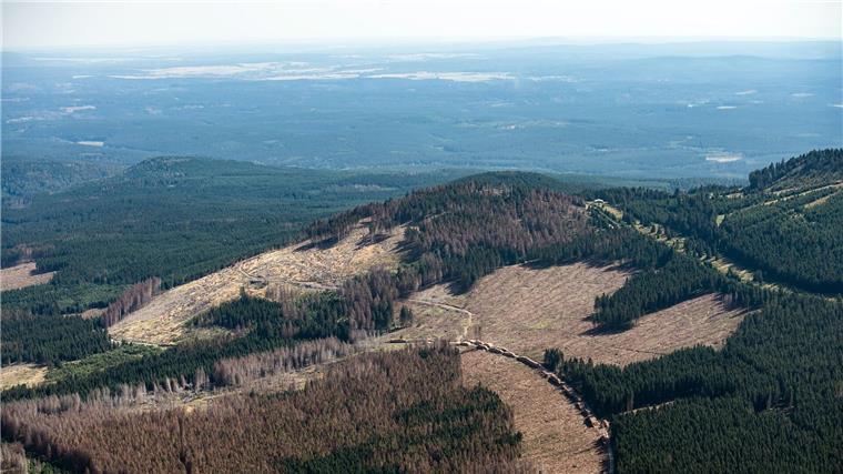 Unternehmen sucht nach Rohstoffen in Südniedersachsen Am westlichen Harzrand soll nach den Rohstoffen gesucht werden (Archivbild).