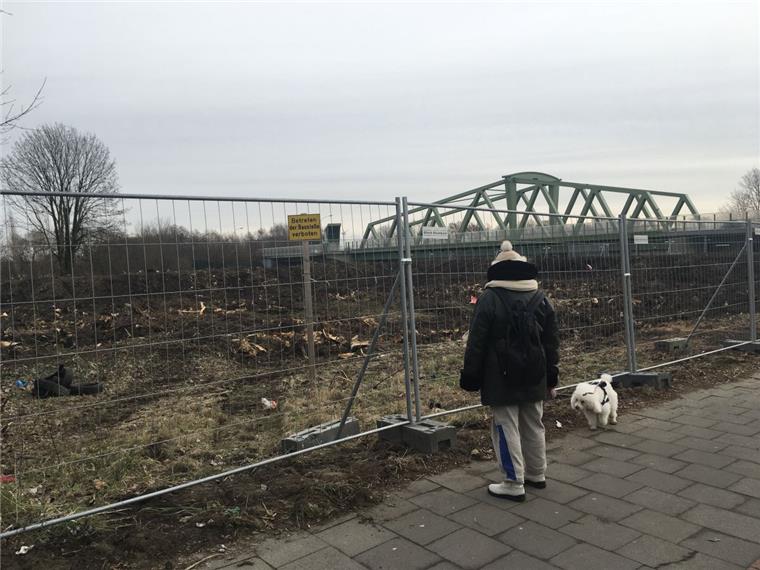Neues Wohnquartier in Lehe: Verwildertes Grundstück gerodet An der Ecke Geestheller Damm/Hafenstraße haben die Bagger das Dickicht gerodet. Jetzt ist der Blick frei zum Autobahnzubringer.